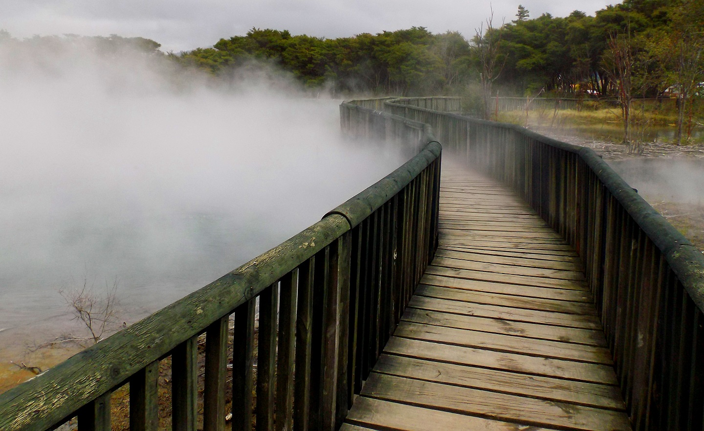 Steam new zealand фото 82